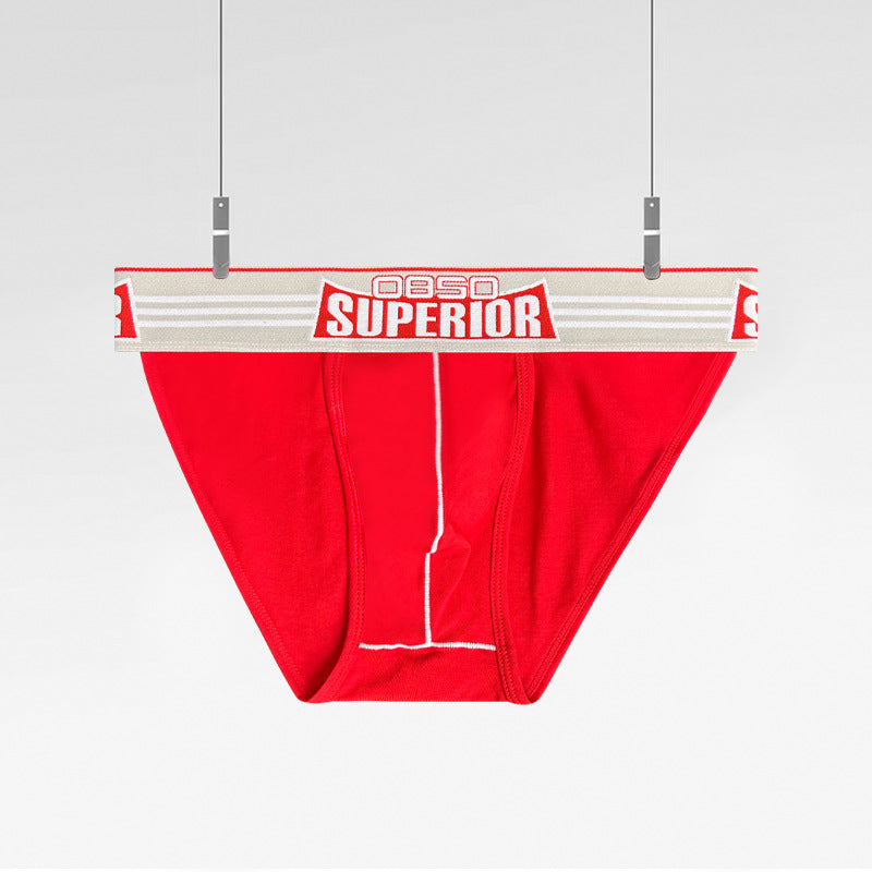 0850 temu source high fork briefs sexy low rise cotton breathable large bag sports fitness anti-wear leg BS844