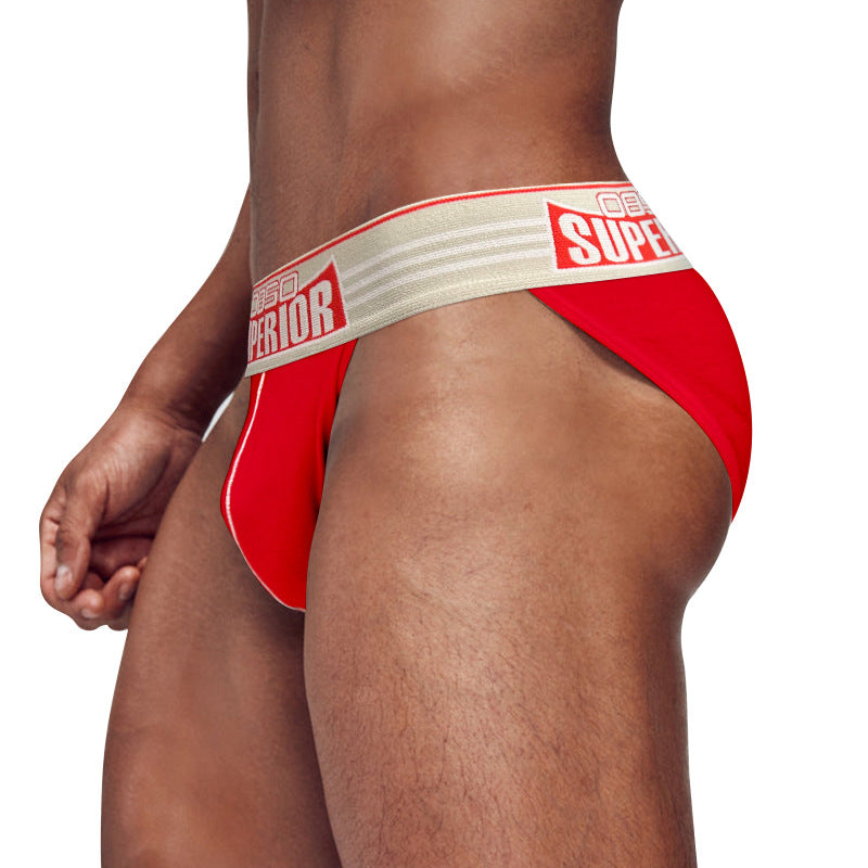 0850 temu source high fork briefs sexy low rise cotton breathable large bag sports fitness anti-wear leg BS844