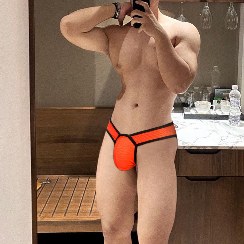 0850 TEMU New Men's Panties Low Rise Breathable Mesh Translucent Briefs Pant Convex Small Triangle BS838