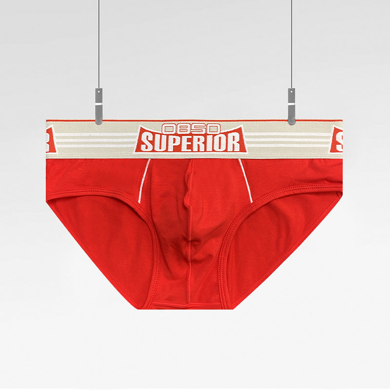 0850 temu men's panties sexy low rise cotton briefs sports fitness anti wear leg briefs BS842